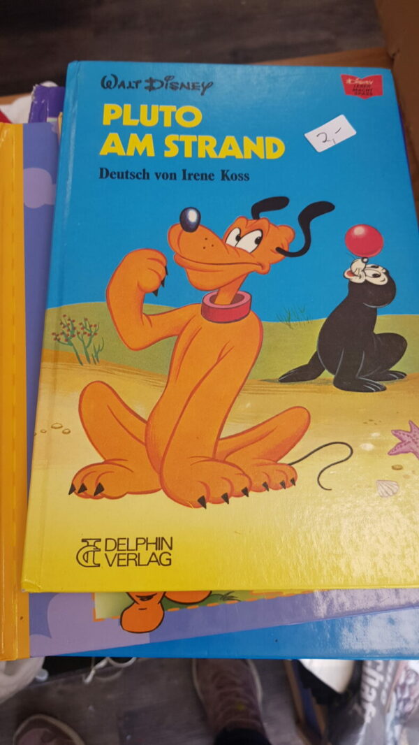Pluto am Strand