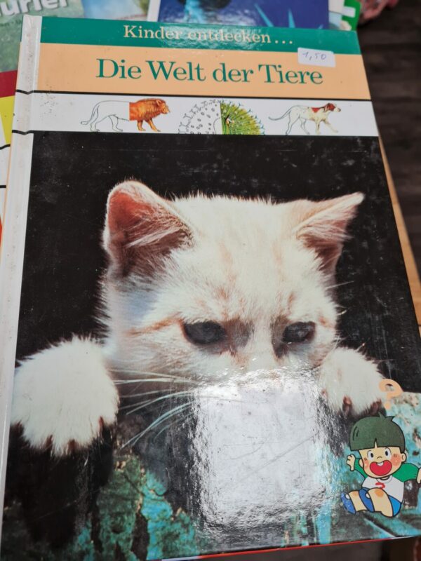 Buch Kinder entdecken Die Welt der Tiere