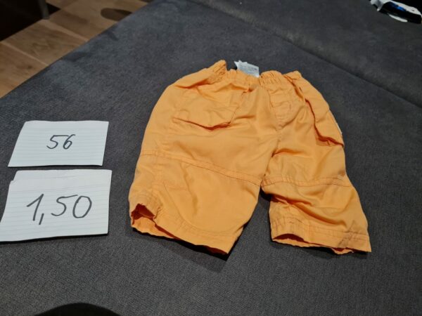 Lange Hose 56