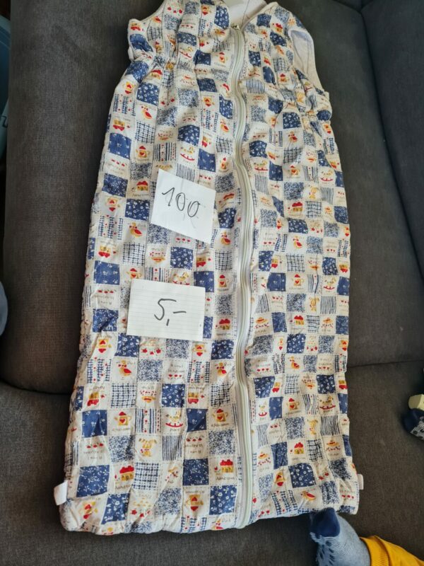 Schlafsack 100