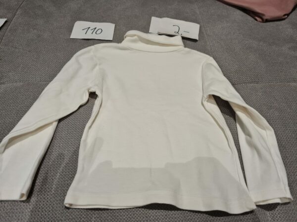 Oberteil 110