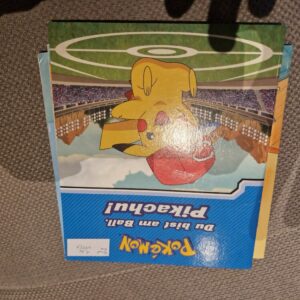Buch Pokemon
