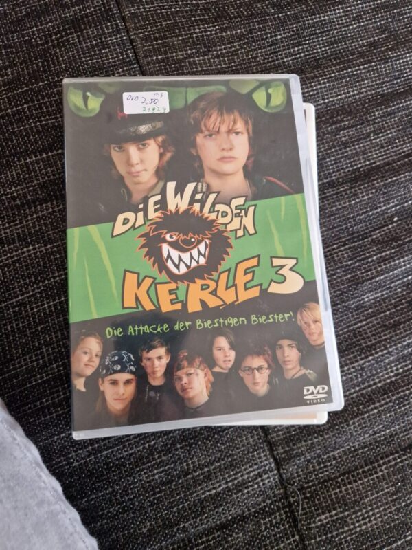 DVD Die Wilden Kerle 3