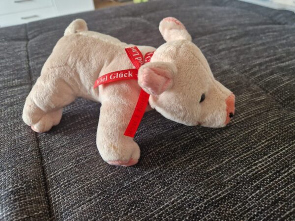 Stoff Neu Glücksschewein