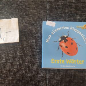 Buch Pappbuch Mein allererstes Klappenbuch