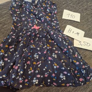 Kleid 110