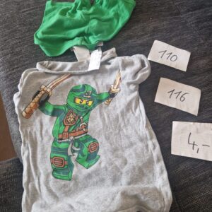 Set Ninjago 110 116