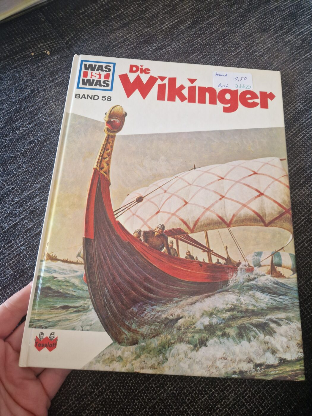 Buch Was ist Was Die Wikinger