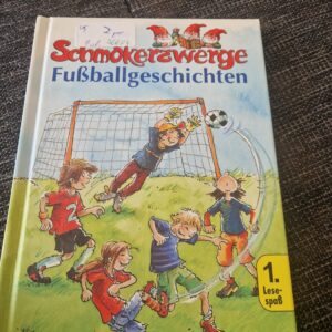 Buch Lesebuch Fußballgeschichten