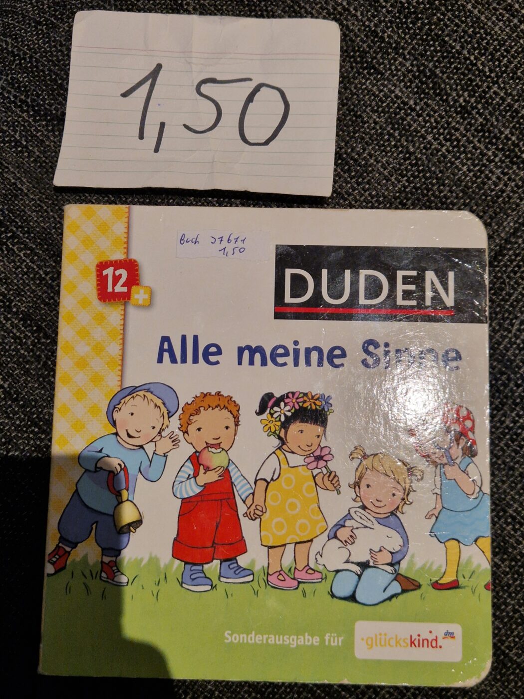 Buch Pappbuch Duden Alle meine Sinne