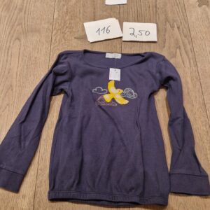 1. Hand Oberteil 116