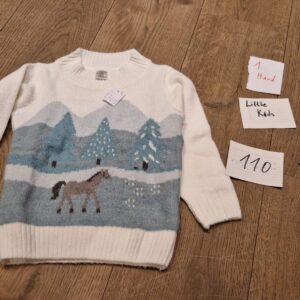 1. Hand Oberteil 110