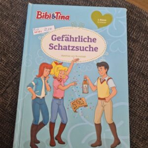Buch Bibi & Tina Gefährliche Schatzsuche