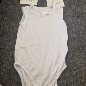 Body 104