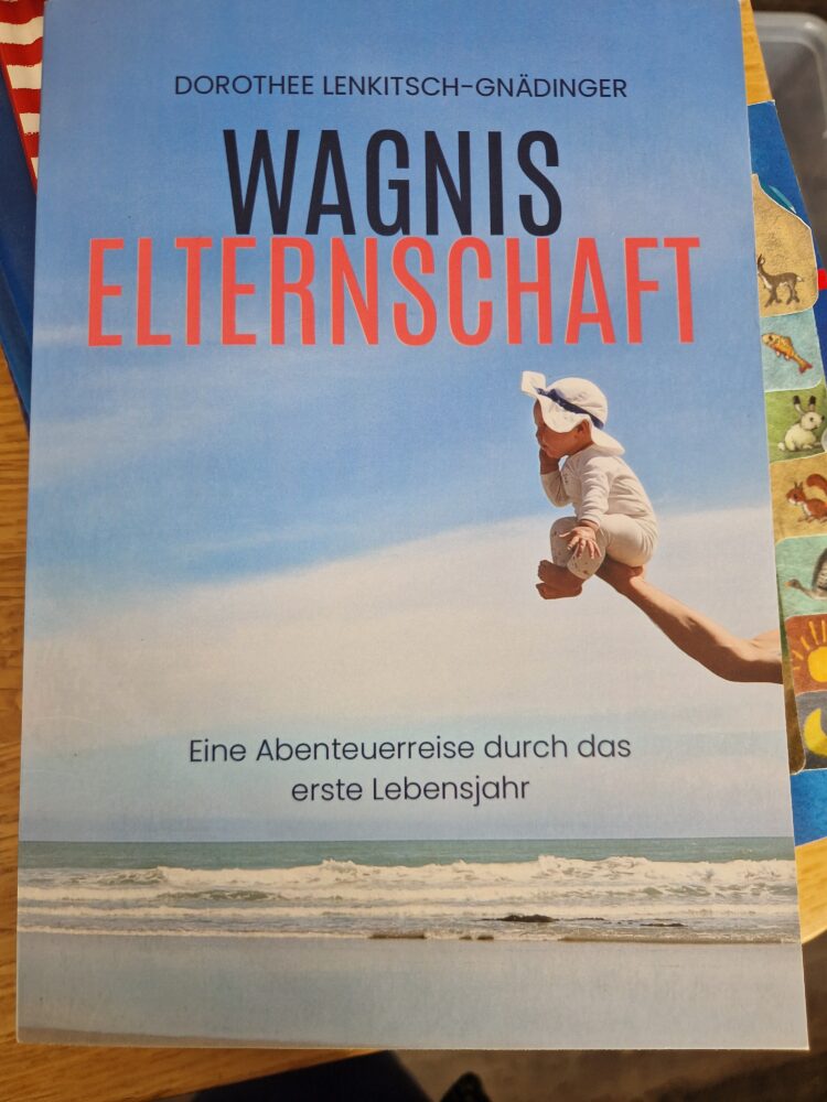 Buch Wagnis Elternschaft